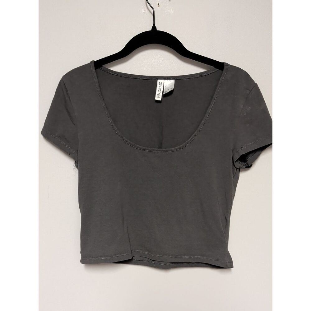 Divided Gray Scoop Neck Cropped Tee